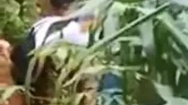 Ngintip Abg Di Kebun Singkong